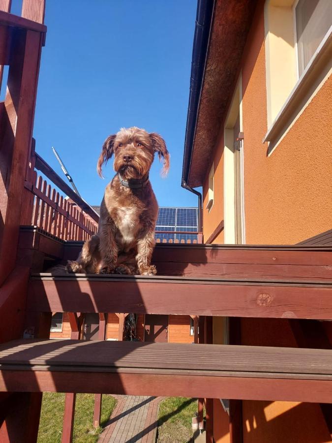 Siedlisko Na Zaciszu Apartamenty Kąty Rybackie Eksteriør billede